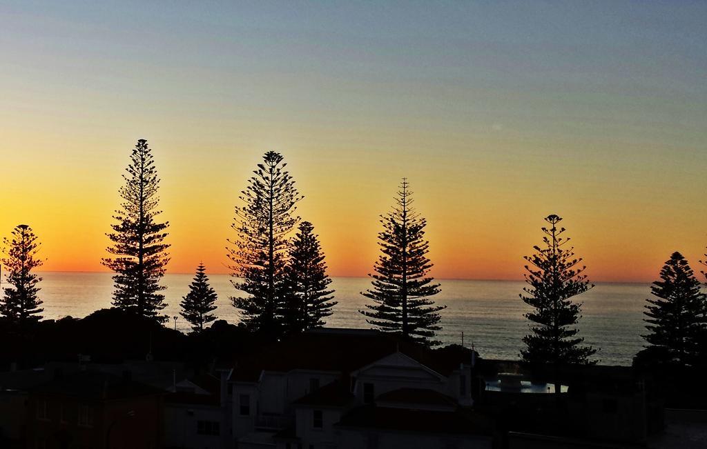 Bella Vista Motel Napier Kültér fotó